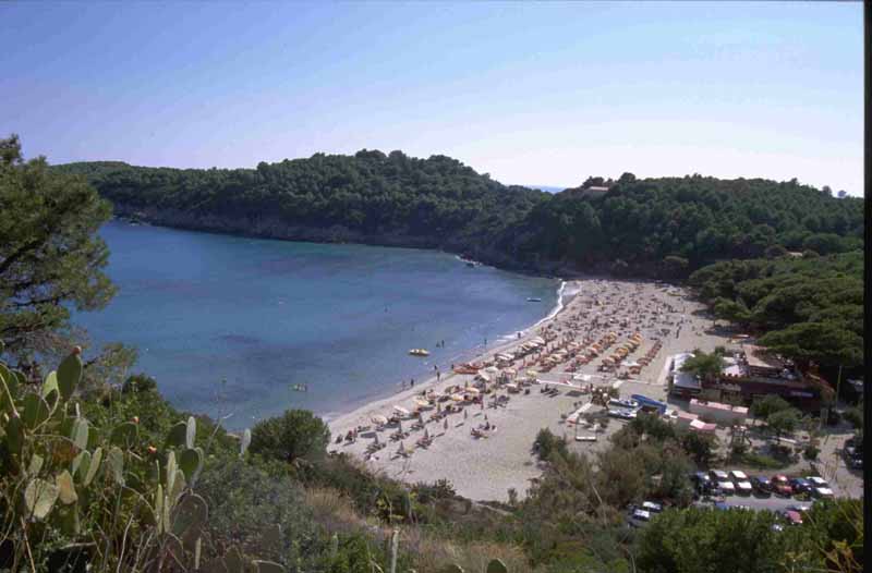 La spiaggia di Fetovaia, una delle tante belle spiagge dell'Elba.